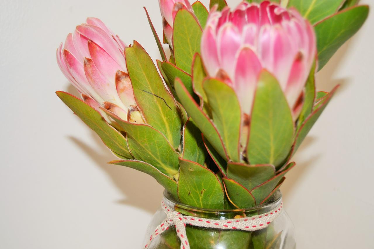 Agulhas Heights Self-Catering Cottages Екстериор снимка